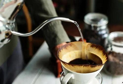 爆料视频 咖啡,从种植到冲泡的全程解析  第2张